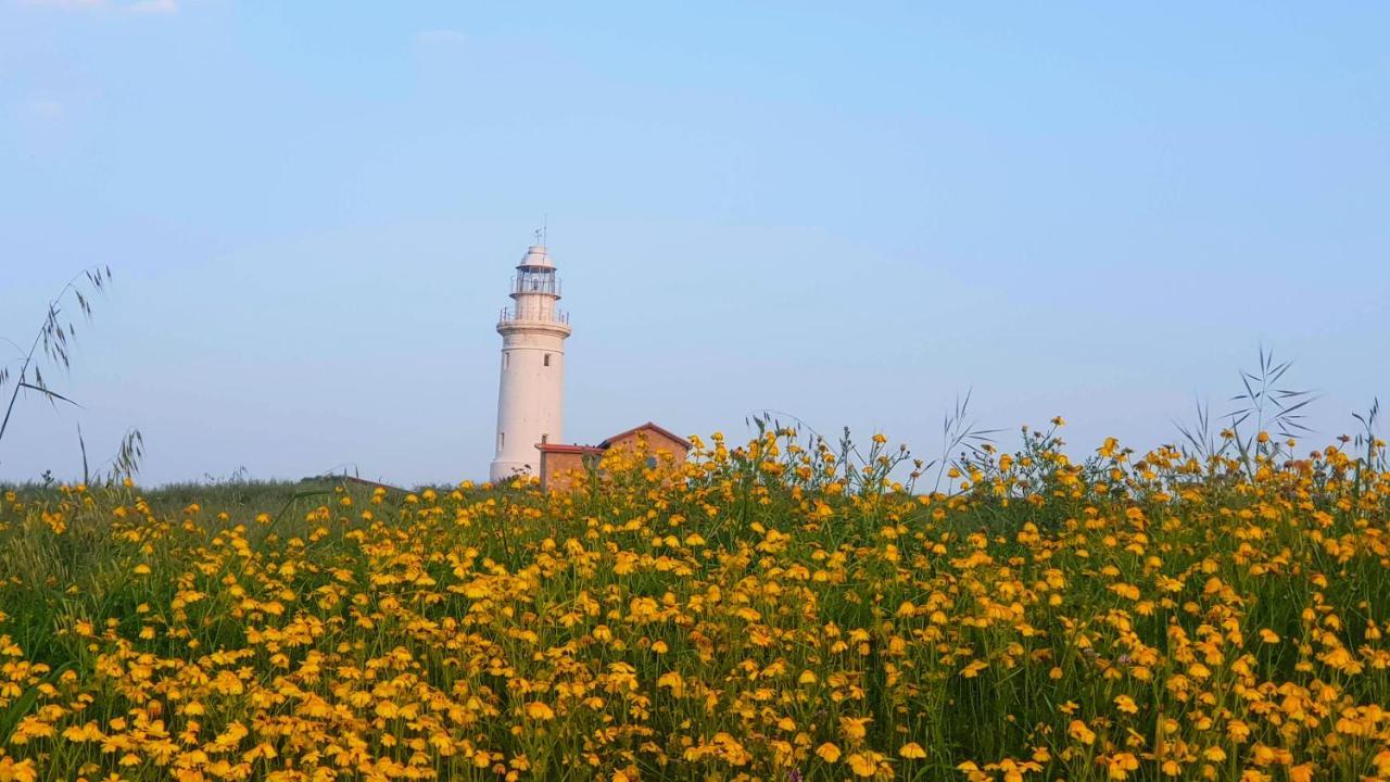 Dahan Sirena Lighthouse Luxury Apartment Pafos Dış mekan fotoğraf