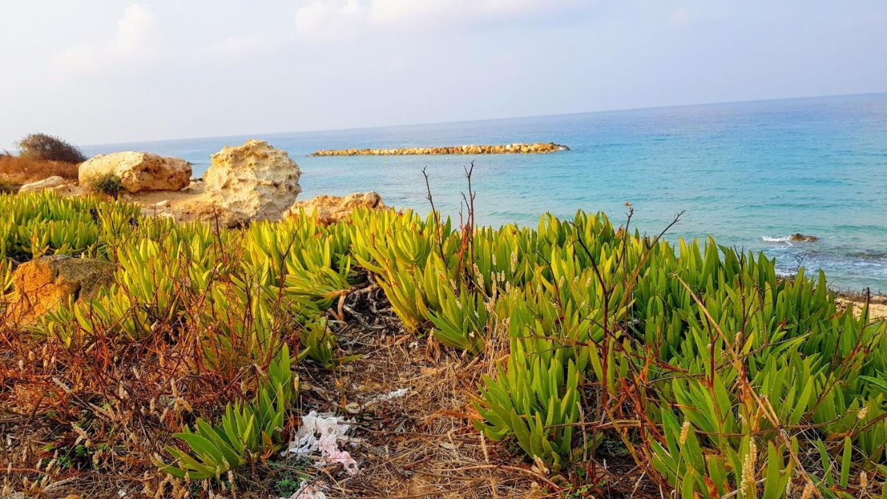 Dahan Sirena Lighthouse Luxury Apartment Pafos Dış mekan fotoğraf